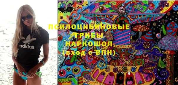 а пвп мука Алзамай