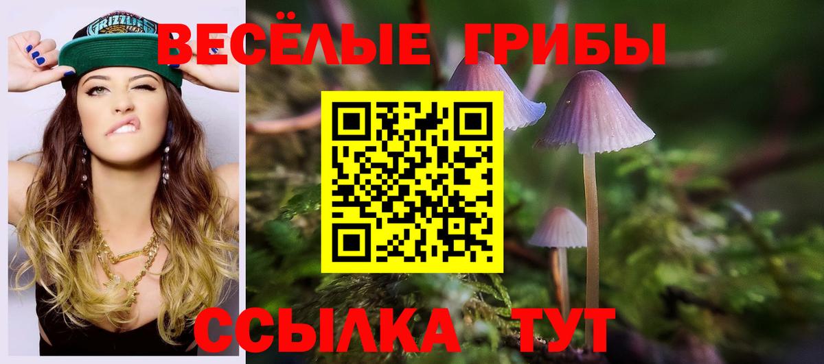 Уссурийск  Псилоцибиновые грибы GOLDEN TEACHER  Вход с VPN  Псилоцибиновые грибы прущие грибы 